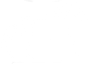 horsewhitesmall